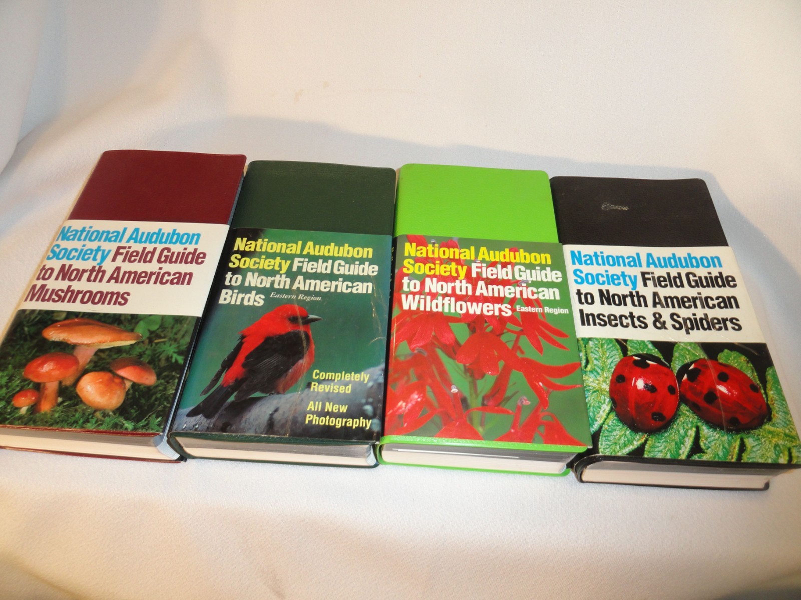 Lot 4 National Audubon Soc. Field Guides Flowers Birds Mushrooms Insects Spiders