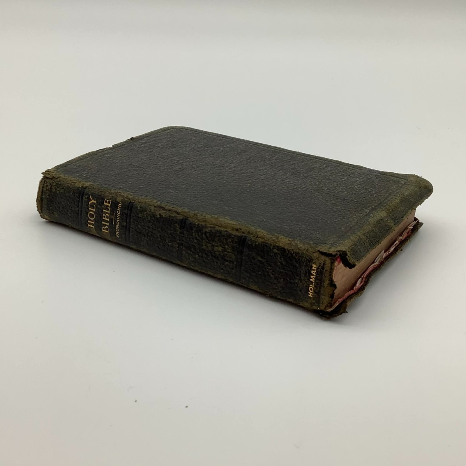Antique A. J. Holman & Co Illustrated Holy Bible – Pronouncing Edition | Leather