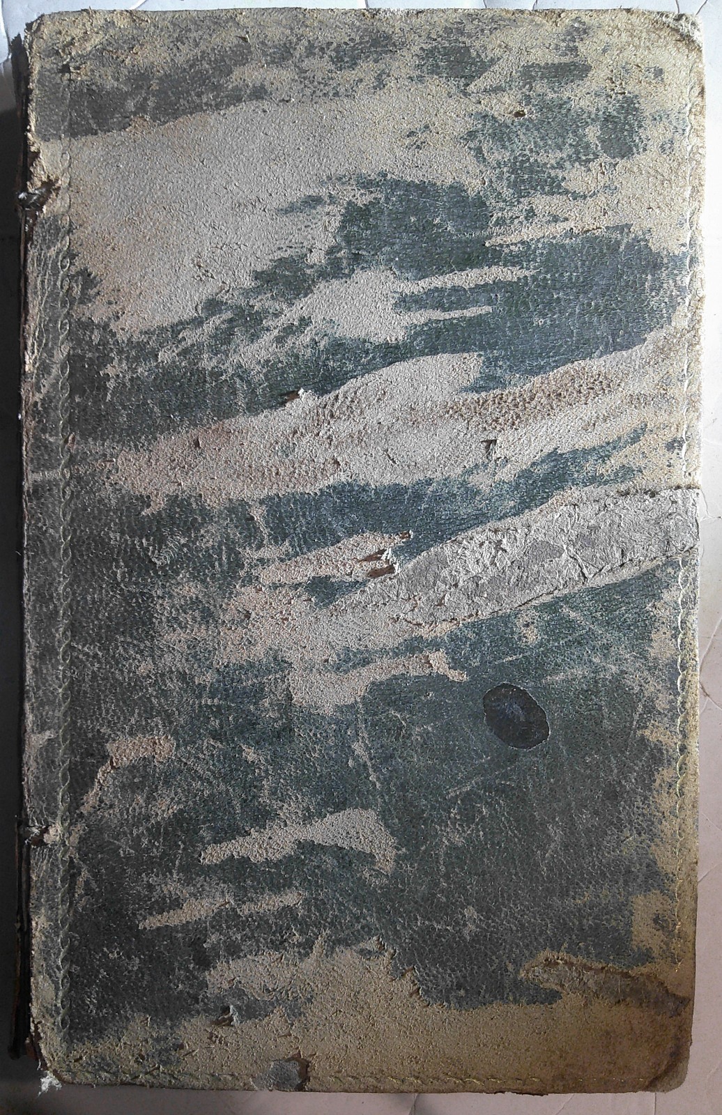 1828 FIRST EDITION American Natural History Vol III John Godman Whaling Bison