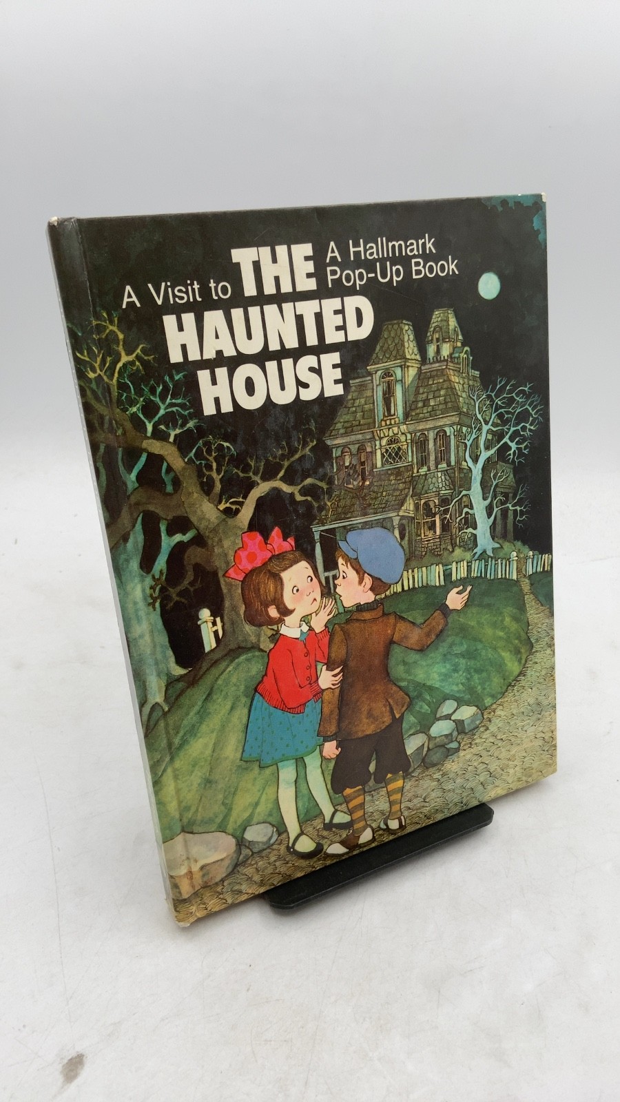 A Visit to the Haunted House Dean Walley Hardcover