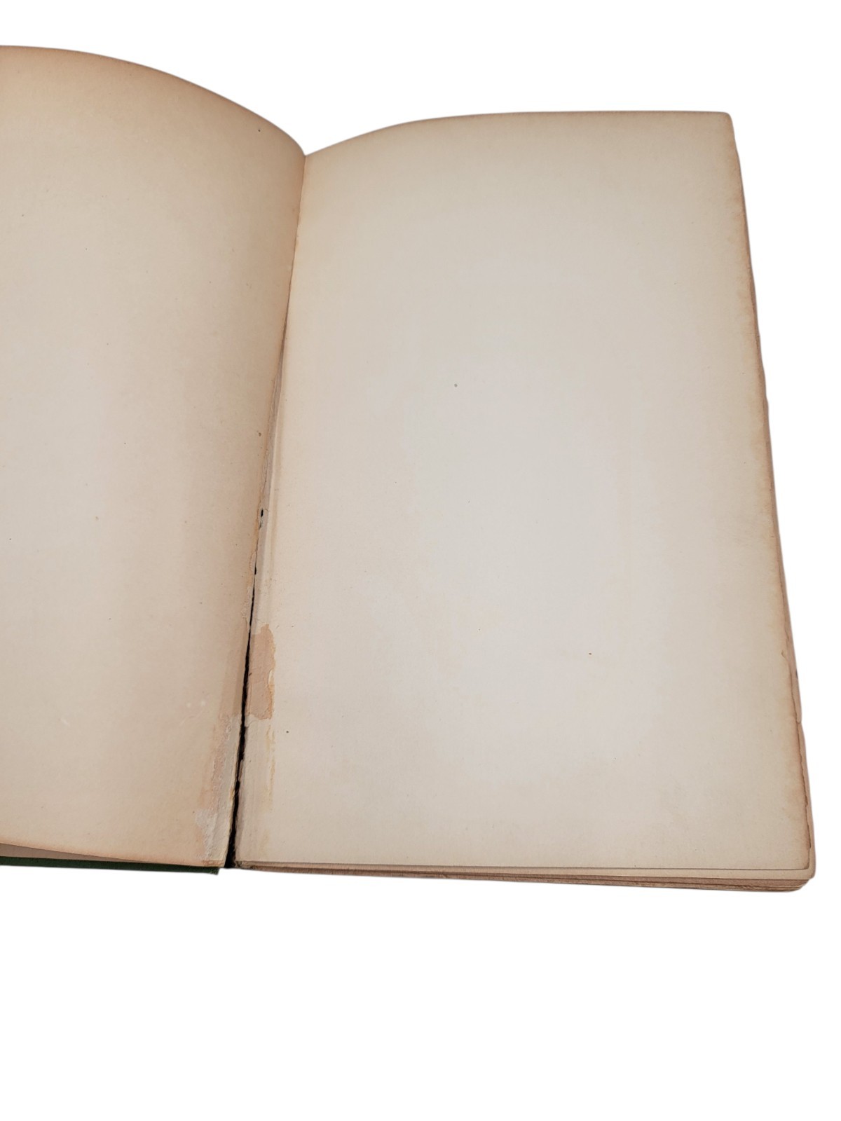 Wanted A Chaperone First Edition Book 1902 Paul Leicester Ford