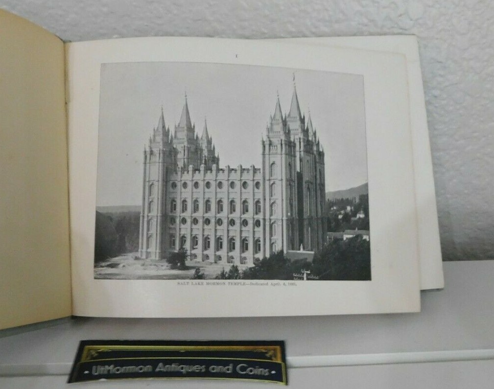 A REFLEX of SALT LAKE CITY and VICINITY by C R Savage HB Utah 1900’s Art Bazar