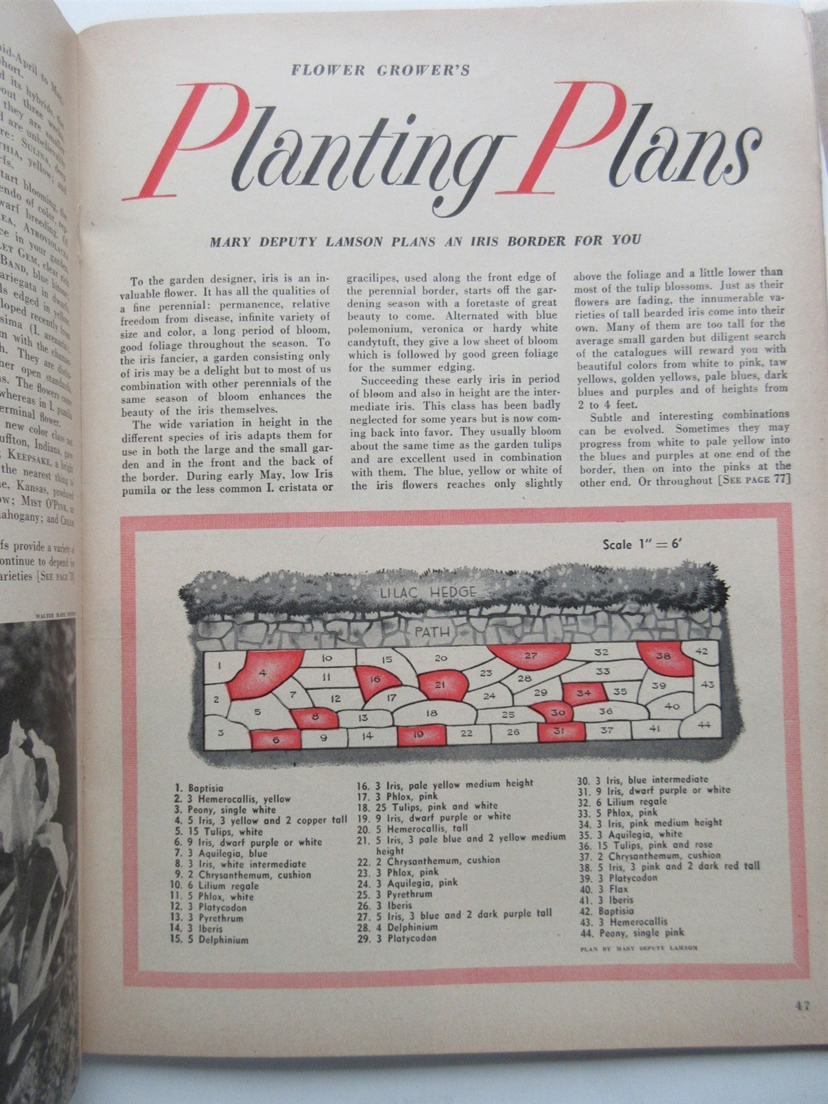Flower Grower Magazine Vintage June 1953 Gardening – Iris, roses