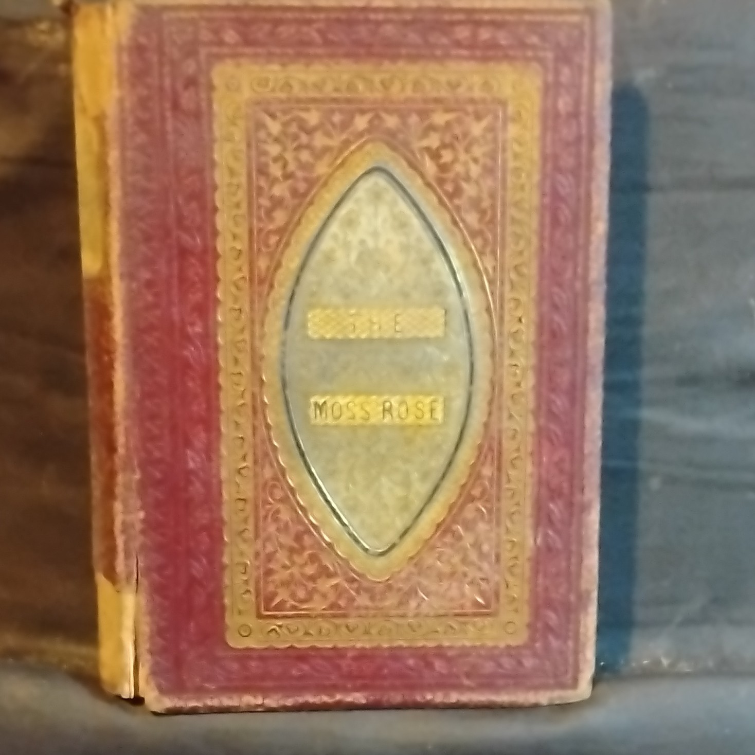 The Moss Rose Illustrated Hardcover Poetry Book, Leavitt and Allen, New York