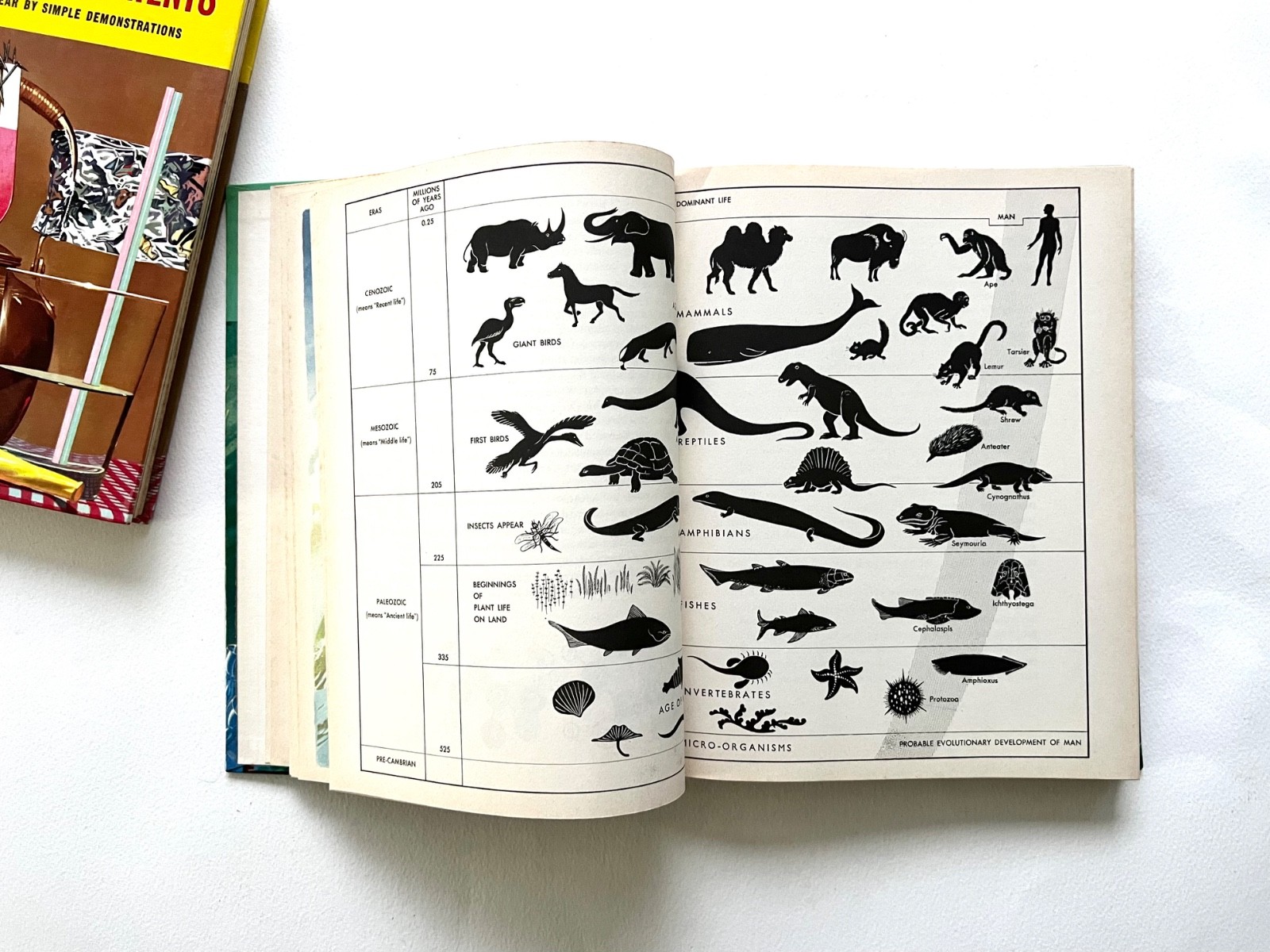 Vintage ILLUS. SCIENCE BOOKS Exploring Science + 101 Experiments ODHAMS 1960s