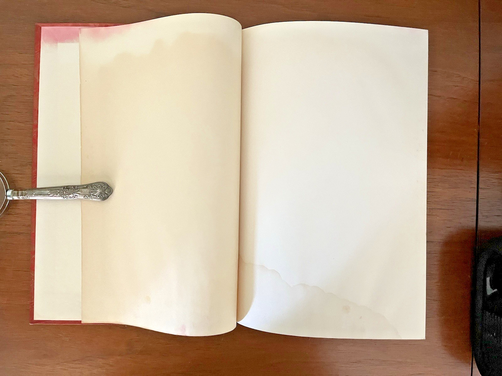 The Space Born – Manly P. Hall 1930 1st Edition Metaphysical Poetry Rare