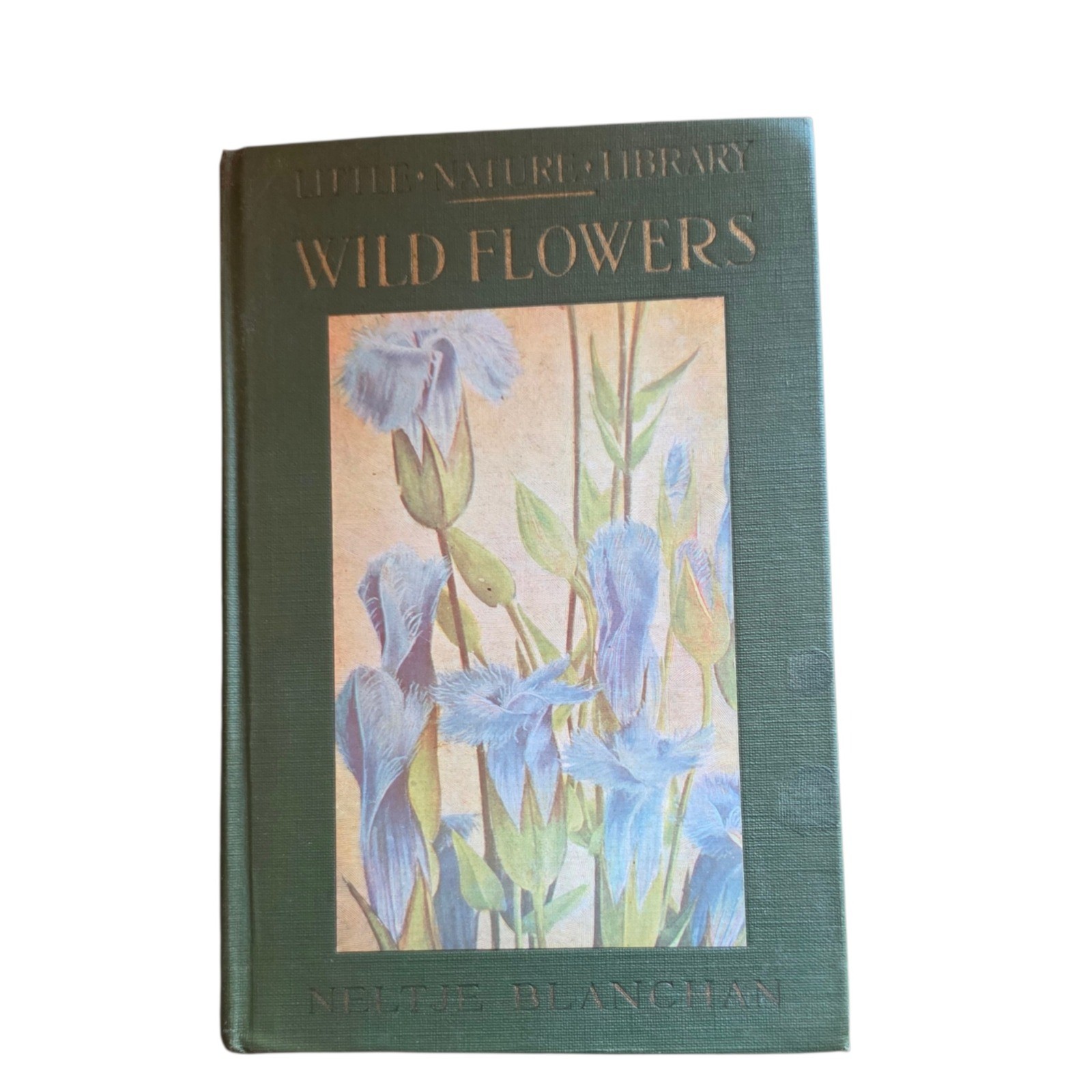 Wild Flowers Worth Knowing Neltje Blanchan 1924 Little Nature Library Hardcover