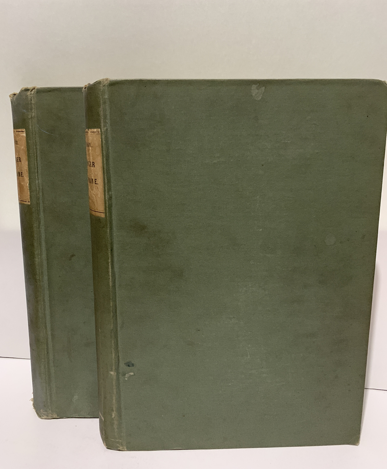 Vintage Books VICTOR HUGO Bellinger of Notre Dame Vol 1&2 London & New York 1888