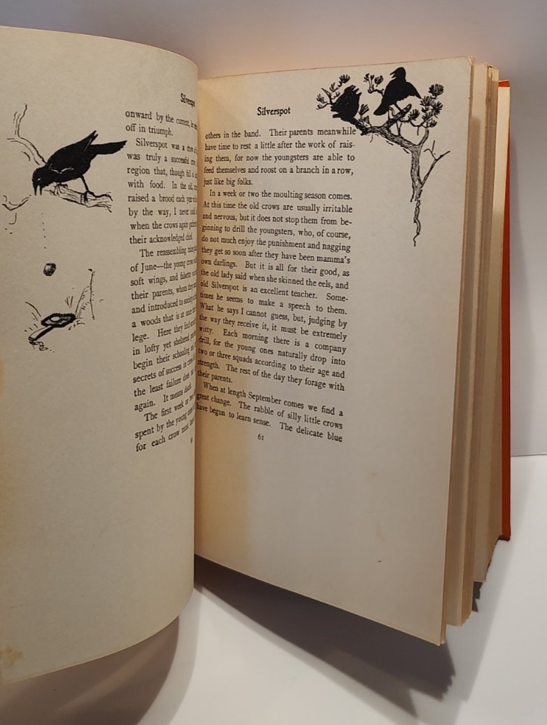 1942 Wild Animals I Have Known by Ernest Thompson Seton 200 Drawings Adventure