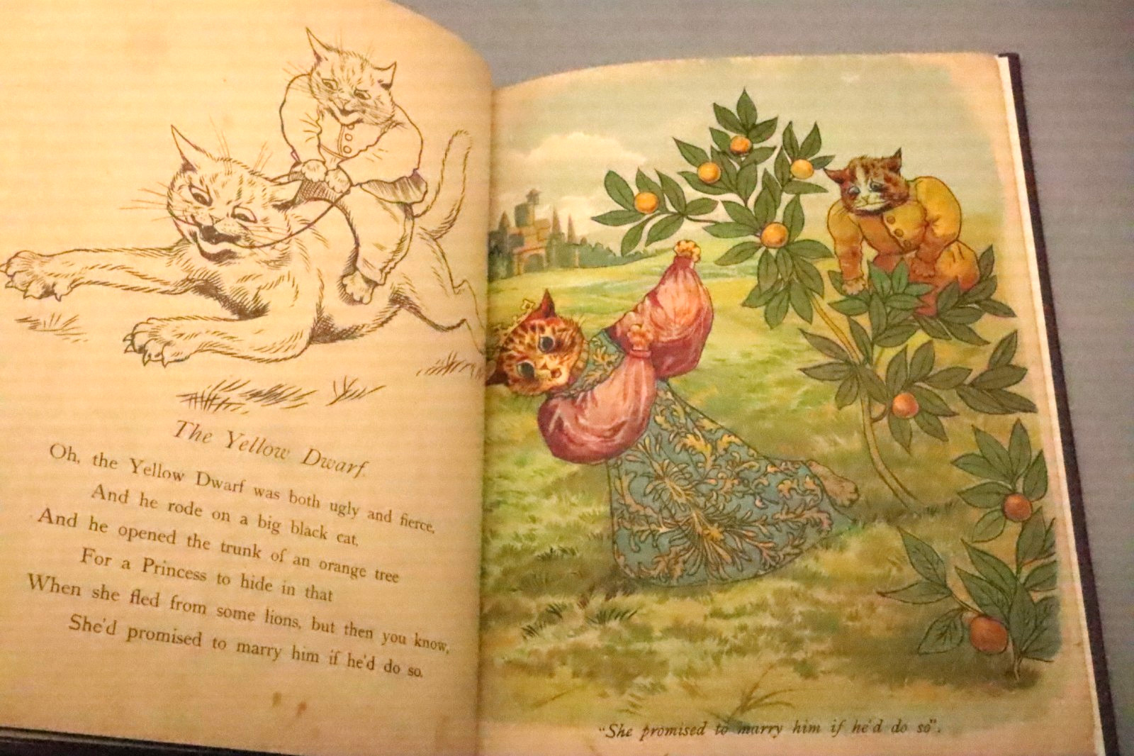 Louis Wain Cat Illustrations Fairy Tales Raphael Tuck Book c1900 Rare Children’s