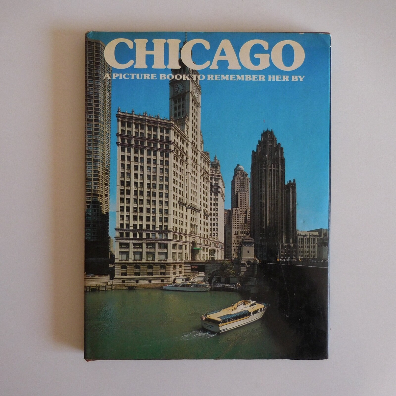 Chicago 1981 David GIBBON Ted SMART CRESCENT BOOKS New York USA