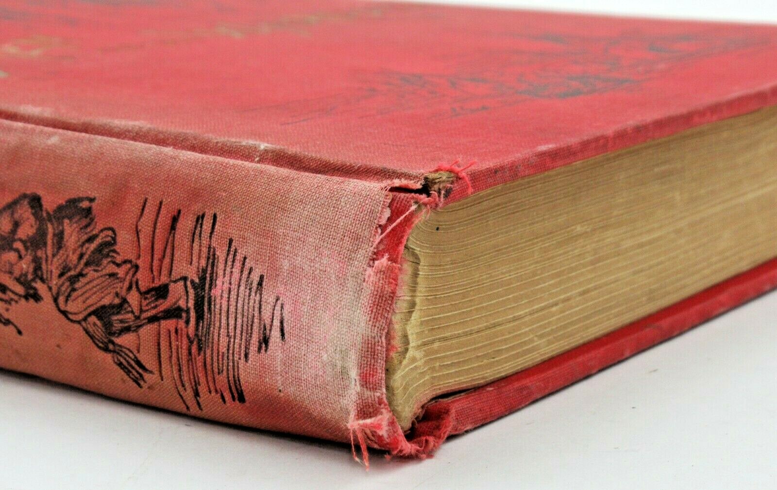 1895 Red Men on the War Path North American Indians Tragic History James P Boyd