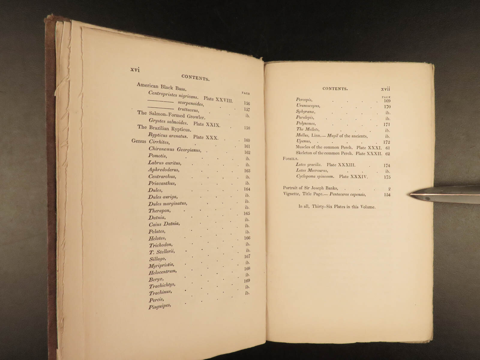 1835 Jardine Naturalist FISH Ichthyology Perch Black Bass Hawkfish FISHING
