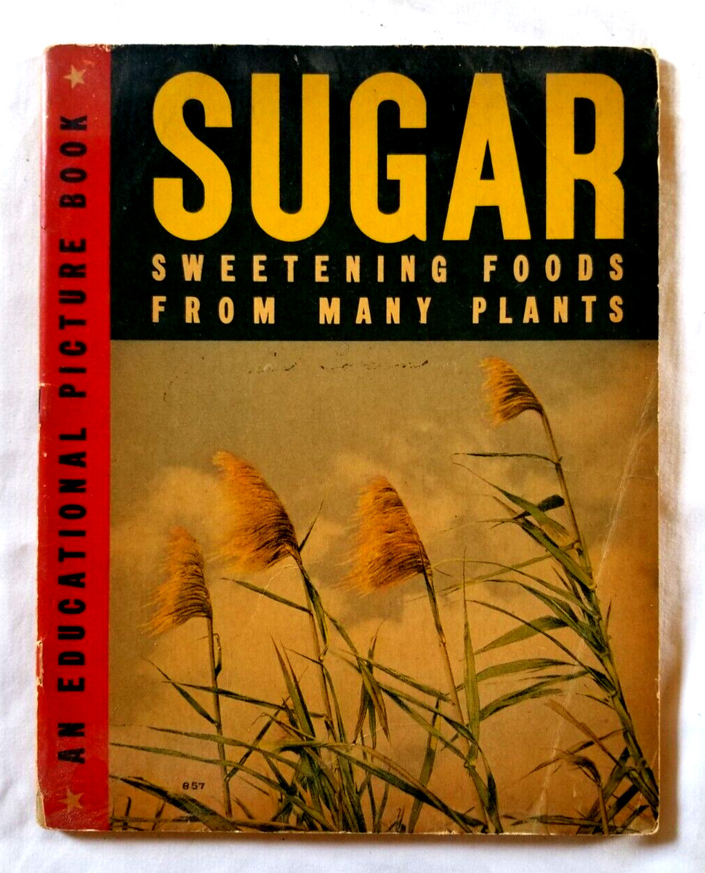 1939 Sugar: Sweetening Food From Many Plants Jane Dale Wartime Educational Book