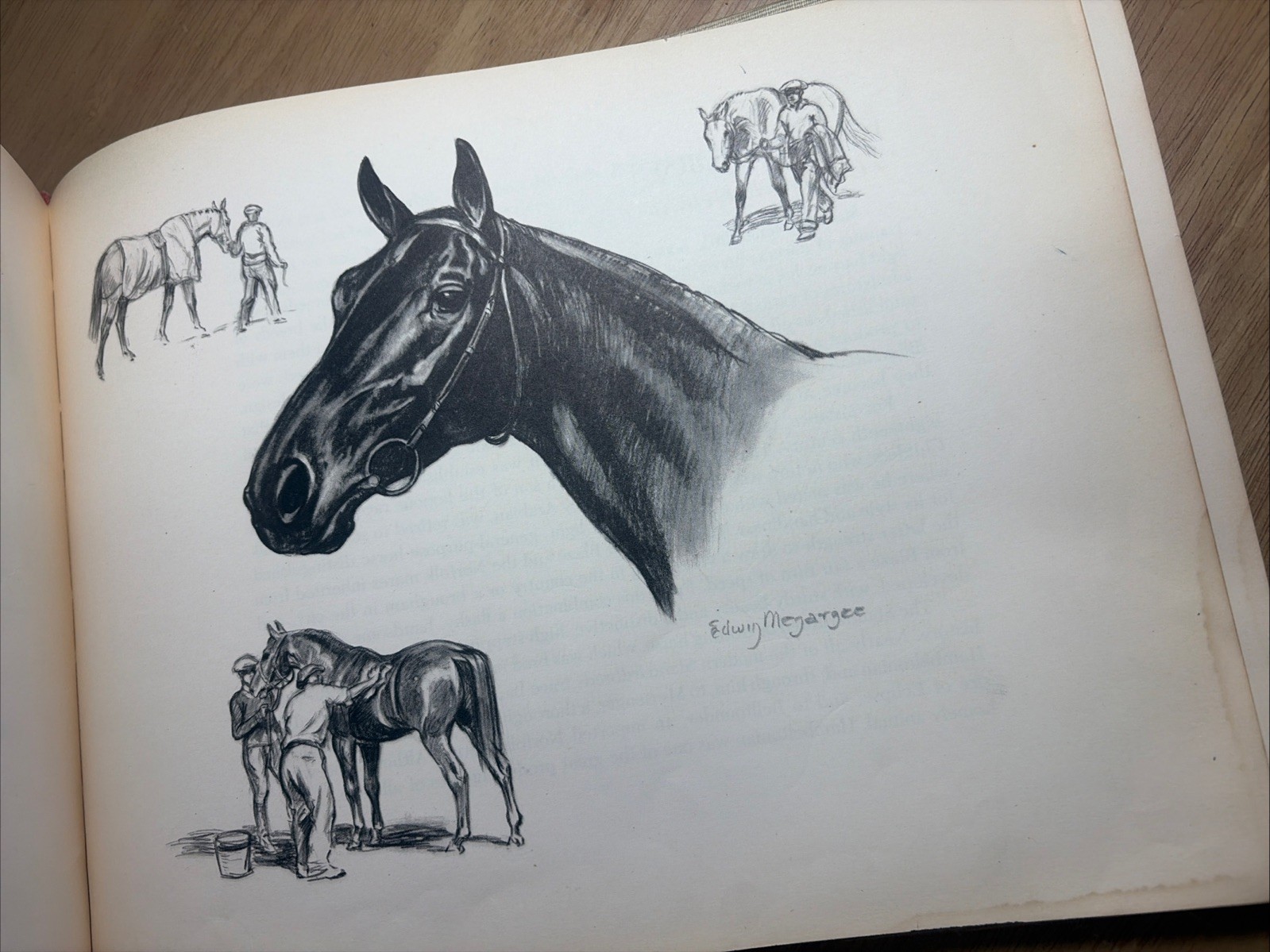 1946 Horses Edwin Megargee Illustrated Oversized Volume of Various Breeds Good-