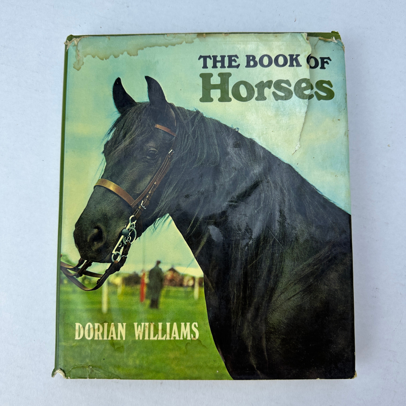 The Book of Horses Dorian Williams HC DJ 1971 As Is Water Damage