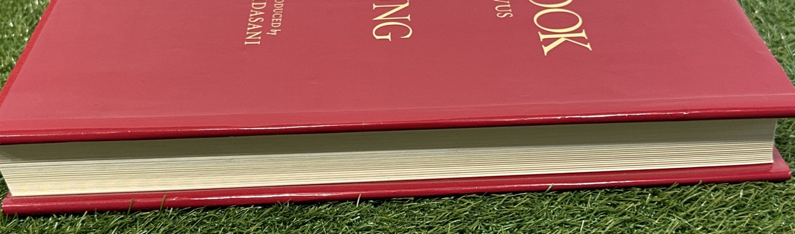 Carl Jung Red Book: LARGE Liber Novus First Edition Hardcover with Dust Jacket