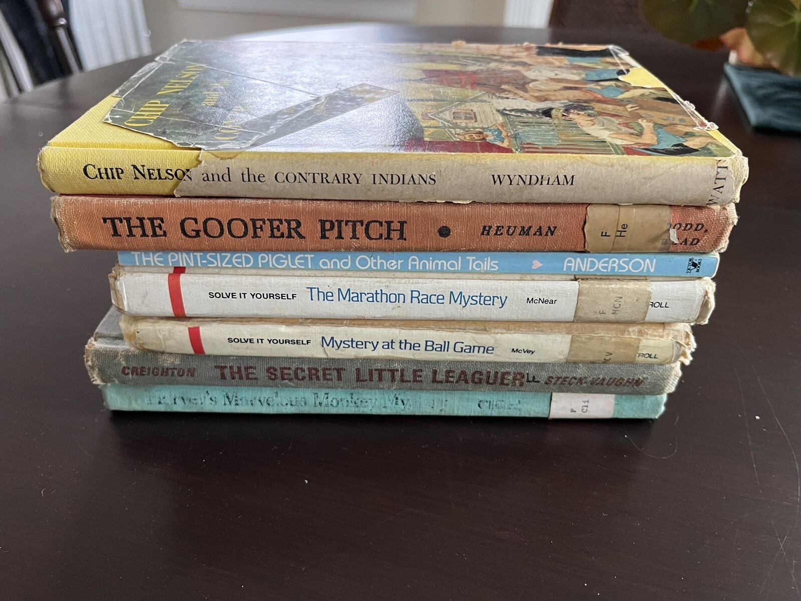 7 Vintage Children’s Mysteries: Chip Nelson & the Contrary Indians, The Secret L
