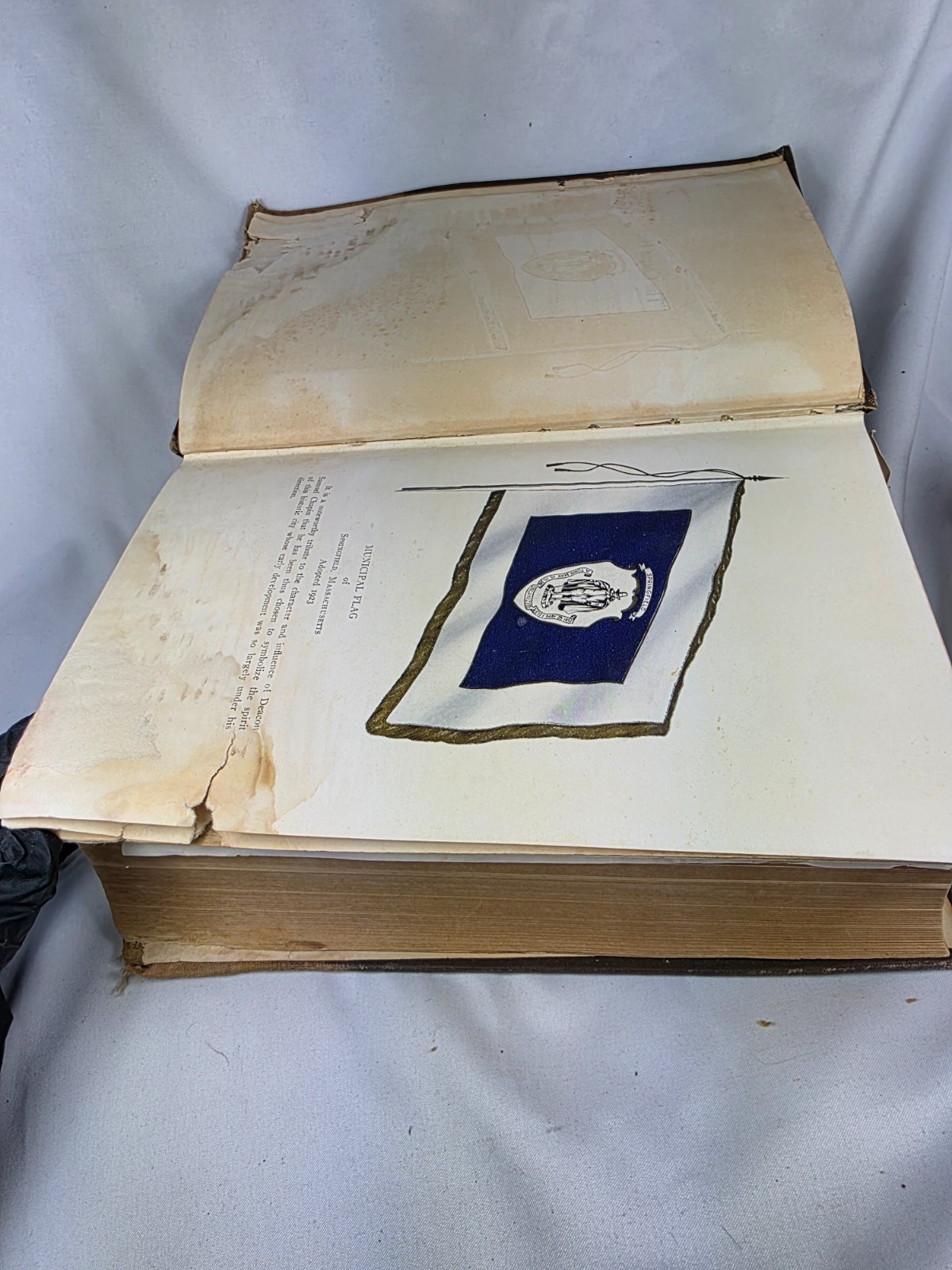1862 Massachusetts Warranty Deed w/ Revenue Stamps. Chapin Family Genealogy Book