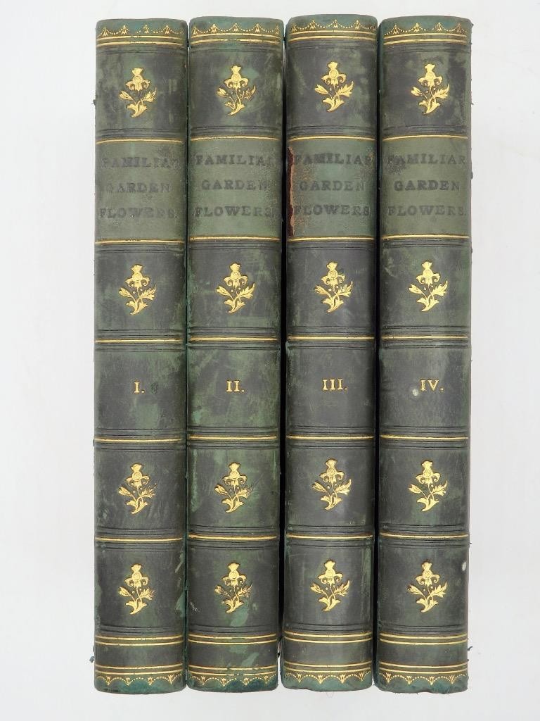 c1895 FAMILIAR GARDEN FLOWERS Edward Hulme 4 Vols 160 Illustrations VERY CLEAN