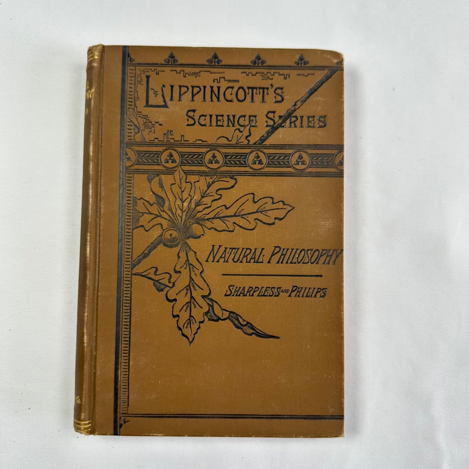 Antique 1883 Natural Philosophy Hardcover Book Lipincott Science Series