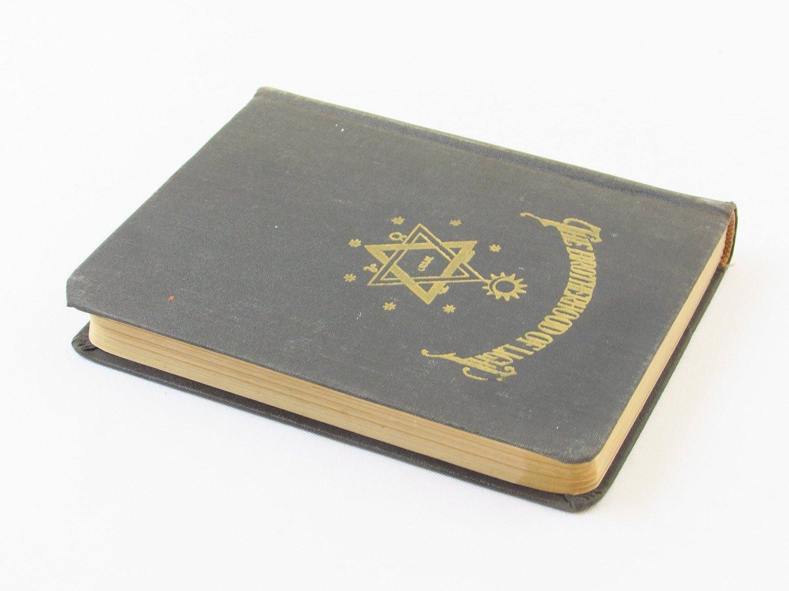 Brotherhood of Light VIII Horary Astrology C C Zain Elbert Benjamine 1930 HC