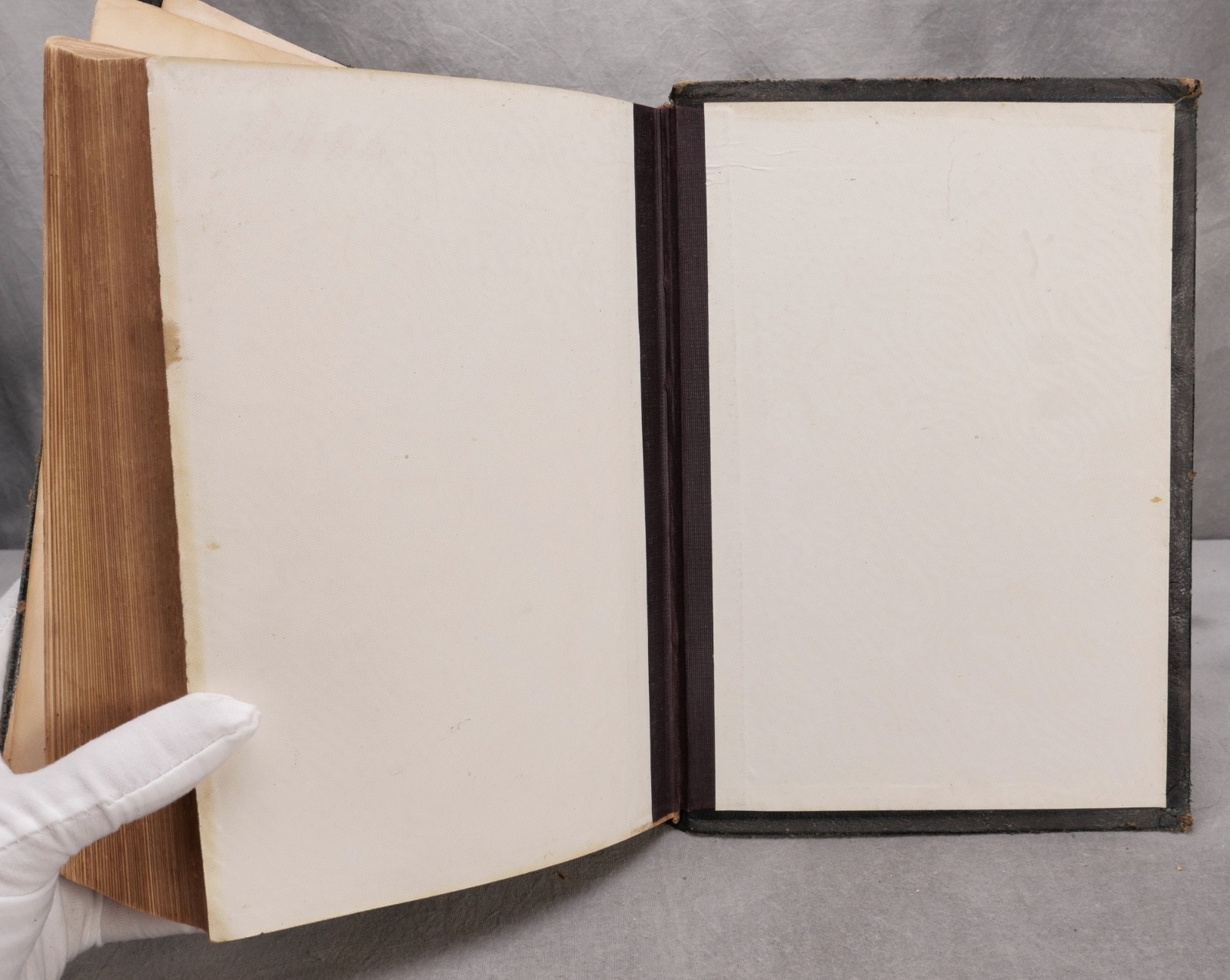 The Illustrated New Testament – Browning & Co. – FIRST US EDITION – 1881