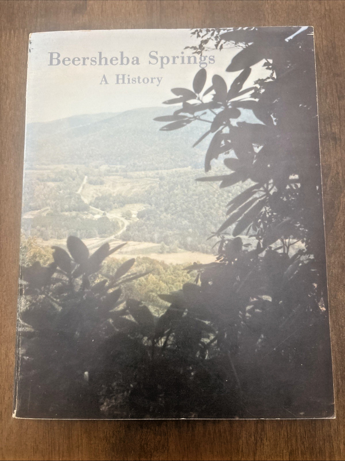 Beersheba Springs A History Tennessee 1833 – 1983 Margaret Coppinger Genealogy