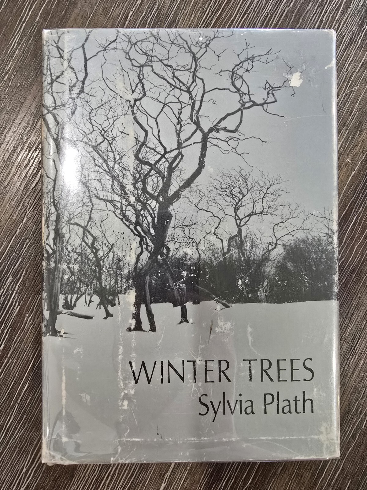 Winter Trees by Sylvia Plath, 1st US Edition, 1st Printing, HC DJ