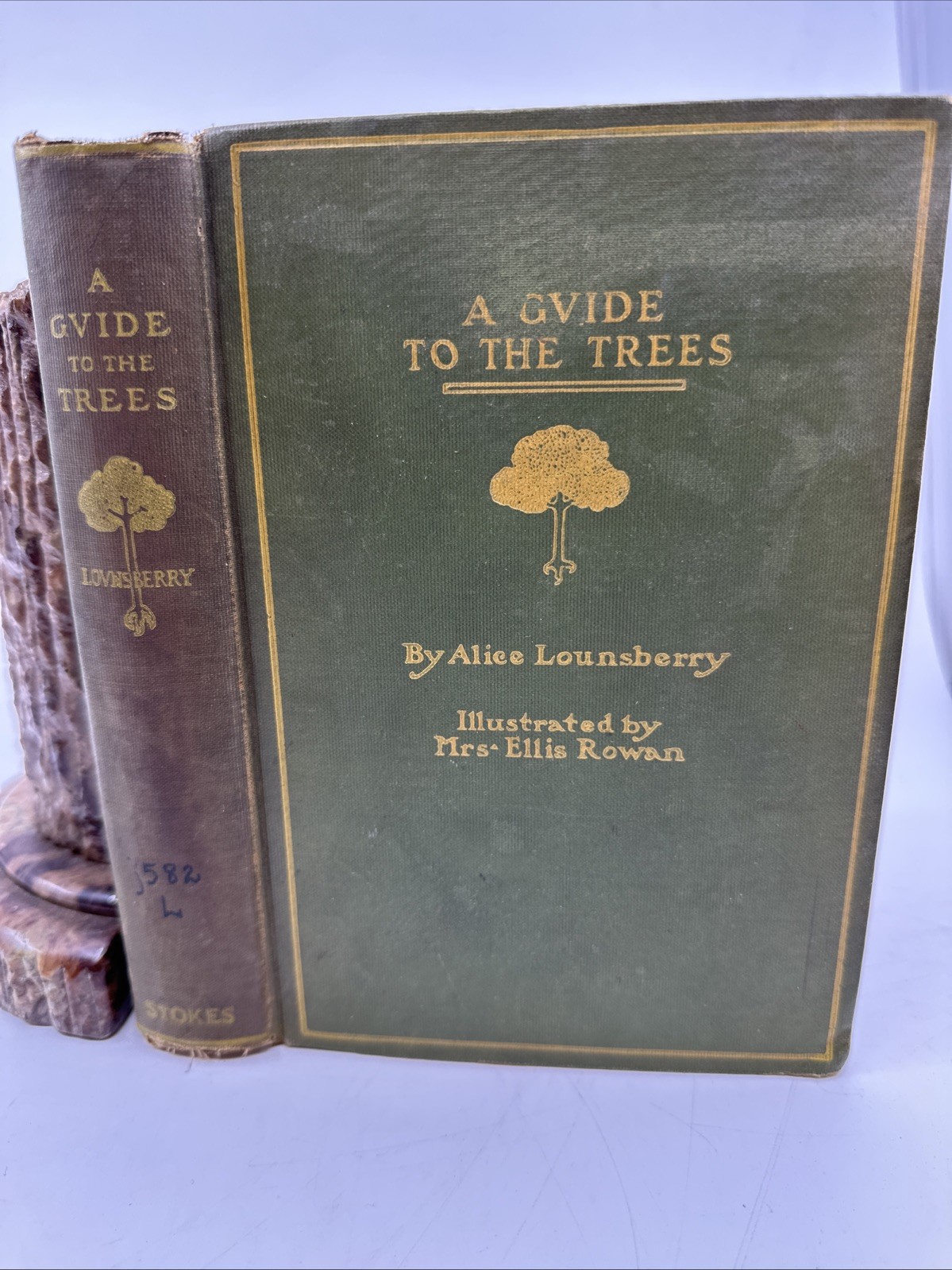 Guide to the Trees Alice Lounsberry Ellis Rowan Illustrated (W182)