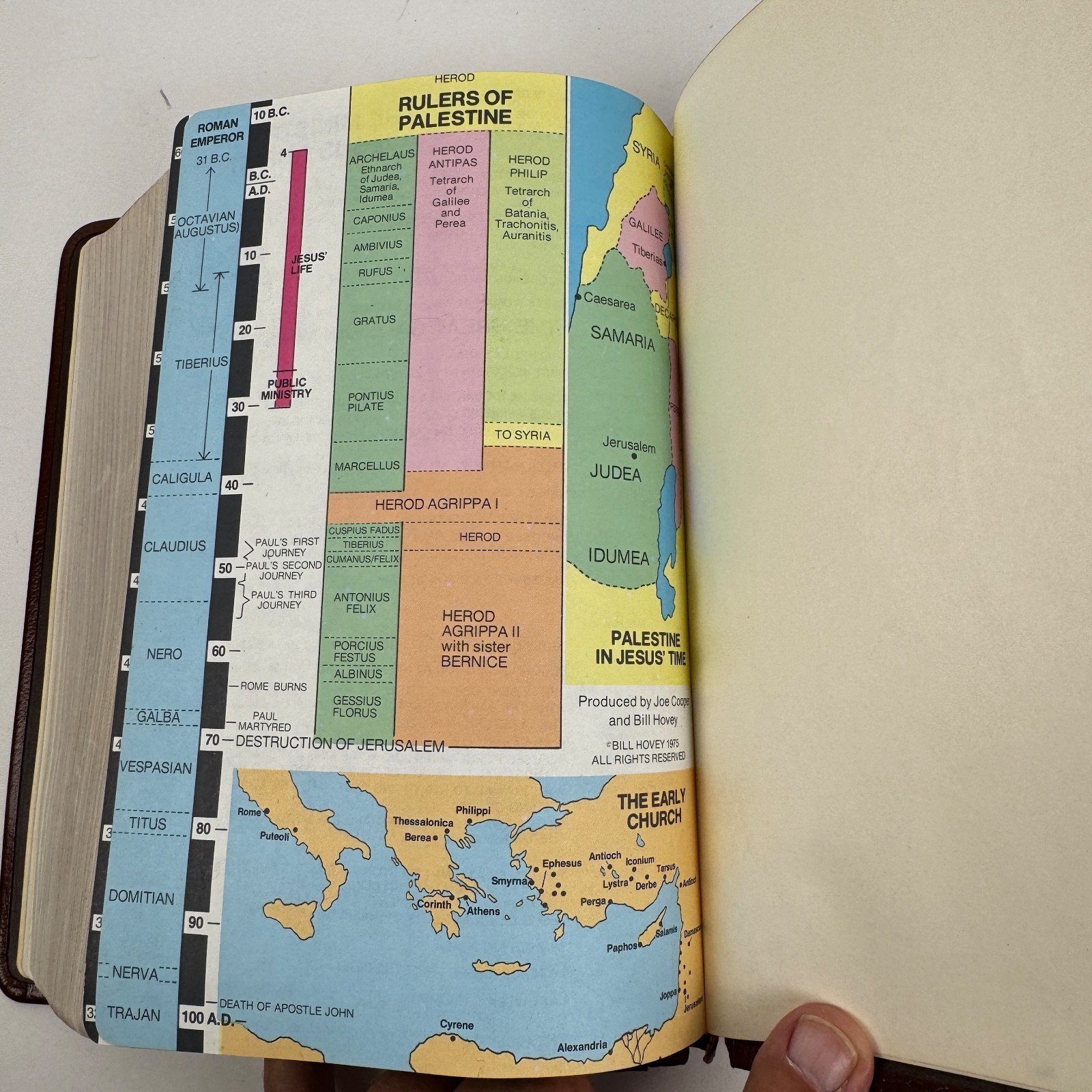 Ryrie Study Bible Red-Letter Version1977, 1978 NASB Spanish Bonded Leather READ