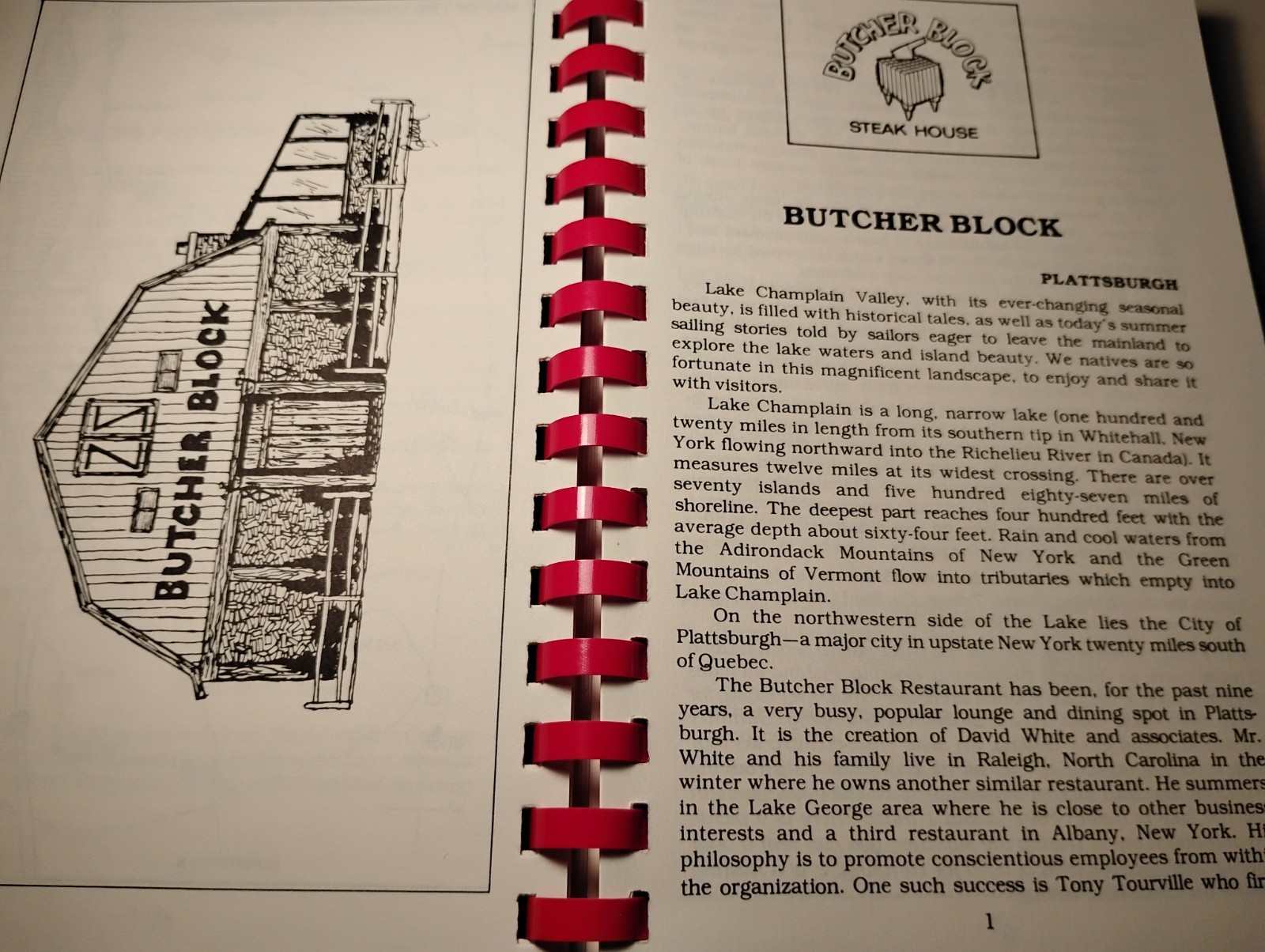 SIGNED 1st Ed TASTES OF THE ADIRONDACK RESTAURANTS Sue Schilidge Cookbook NY