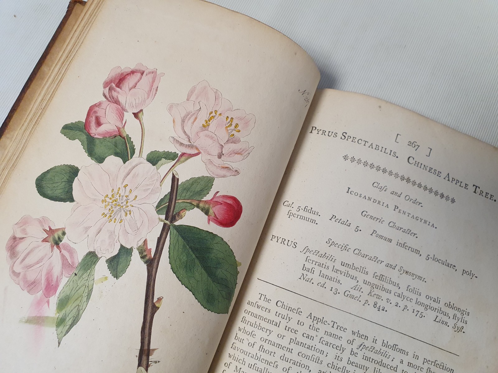 Botanical Magazine by William Curtis 1794 Vol.8 (incomplete)