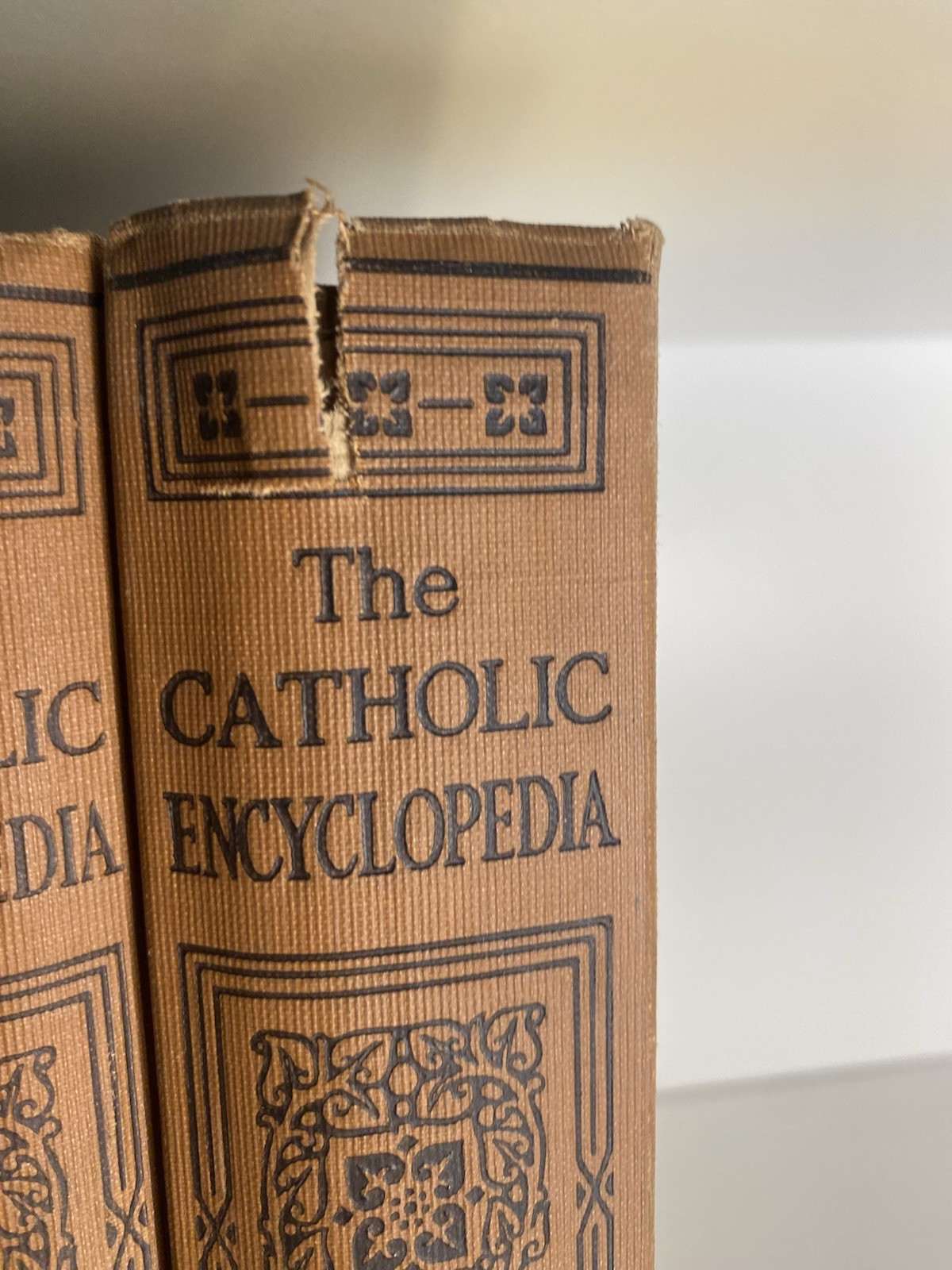 The Catholic Encyclopedia Special Edition 1913 Full Set 15 Volumes & Index