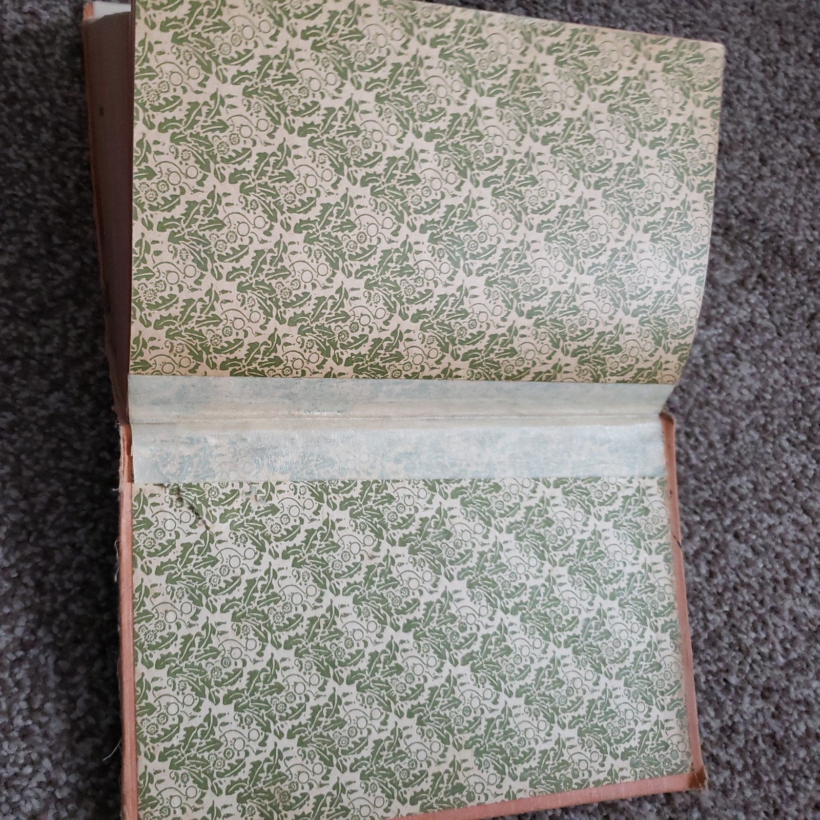 1930 Nouveau Petit Larousse Illustré Dictionary French, Claude Auge