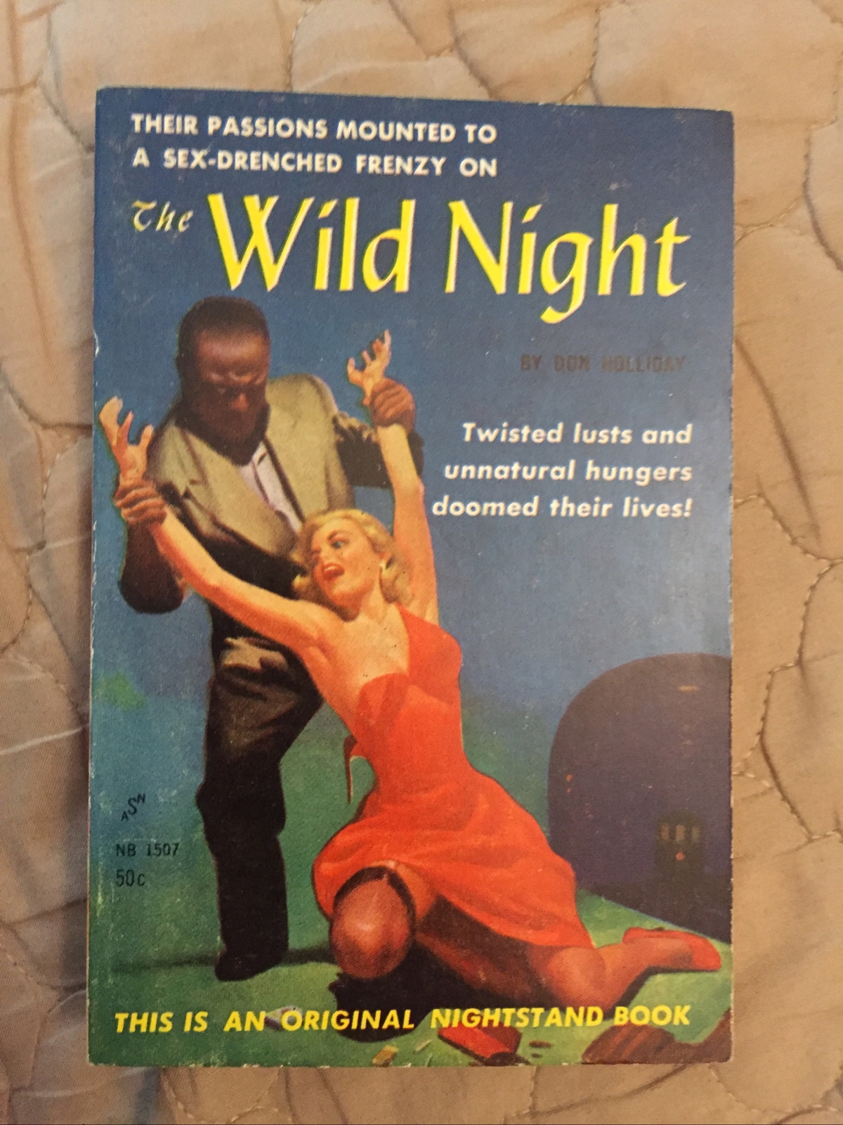 Sleaze Gga Vintage Pb, The Wild Night by Holliday, Nightstand NB1507R, 1960, VG+