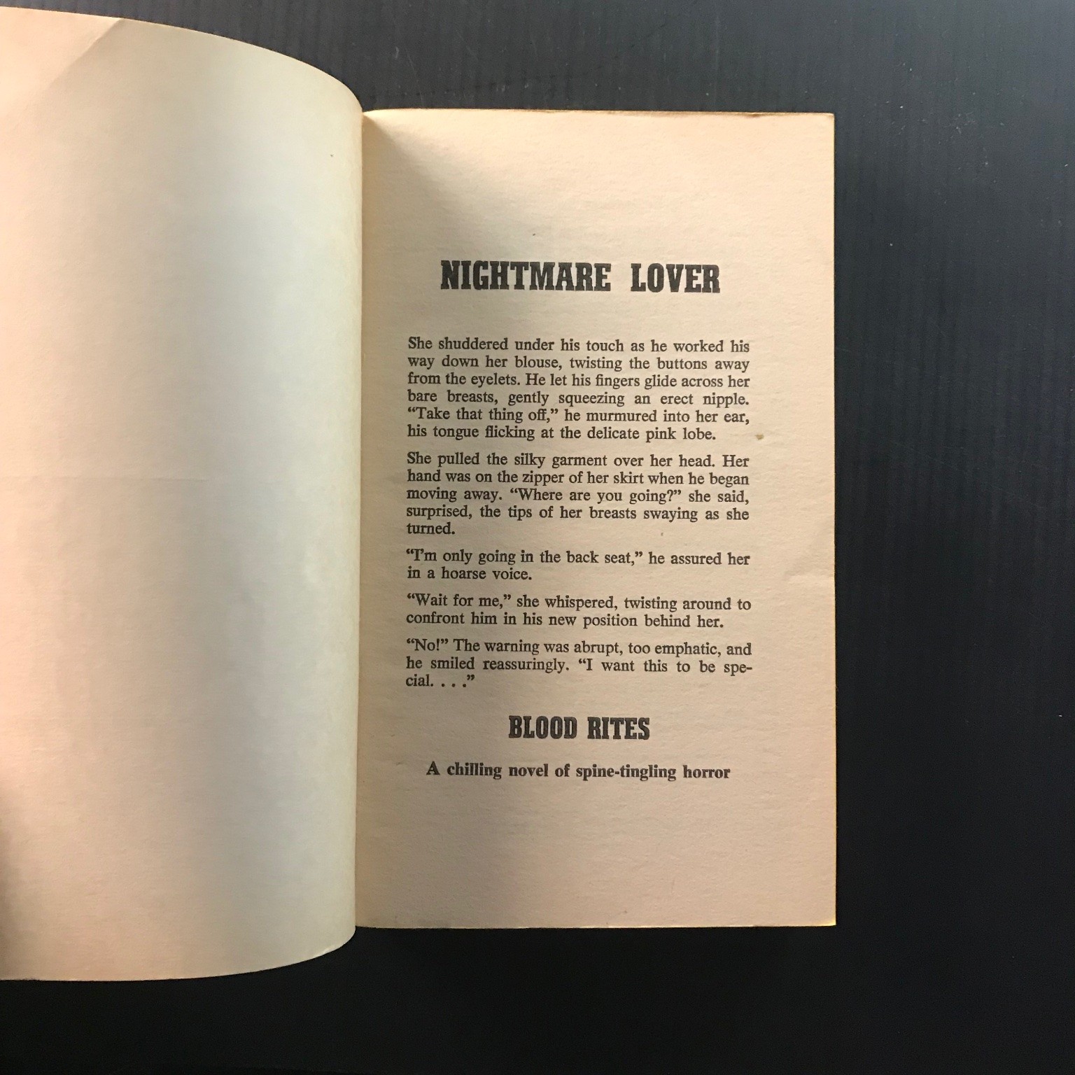 Blood Rites Barry Nazarian 1980 First Printing Horror Suspense Thriller