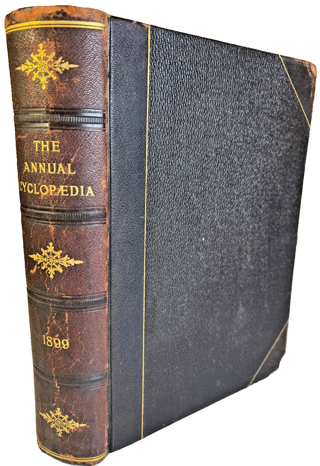 1899 Antique Annual Cyclopaedia Illustrated Leather Reference Book Hardcover