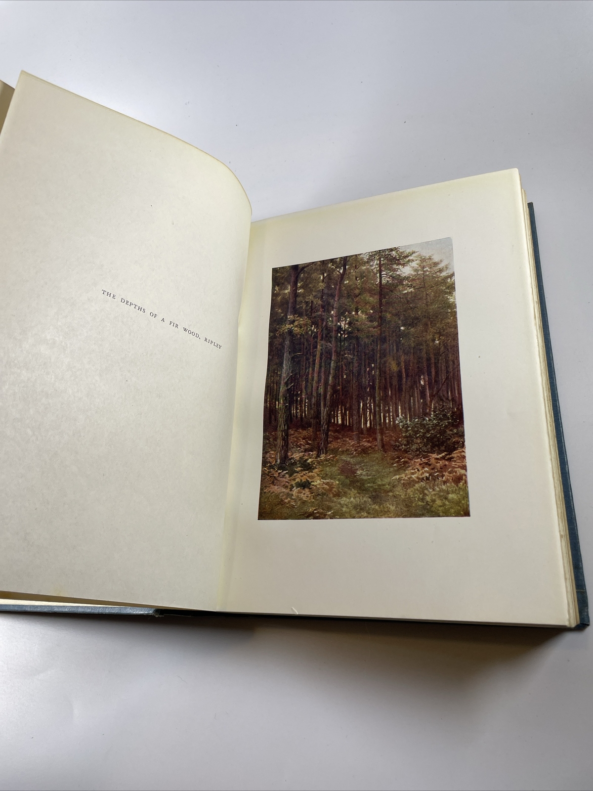 Surrey – Painted by Sutton Palmer, described by A R Hope Moncrieff (1912)