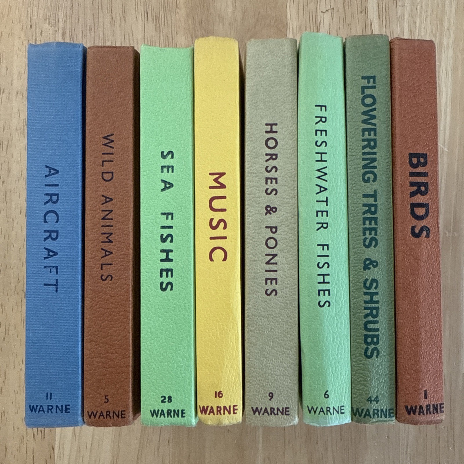 Observer’s 8 Book Collection Vintage Display