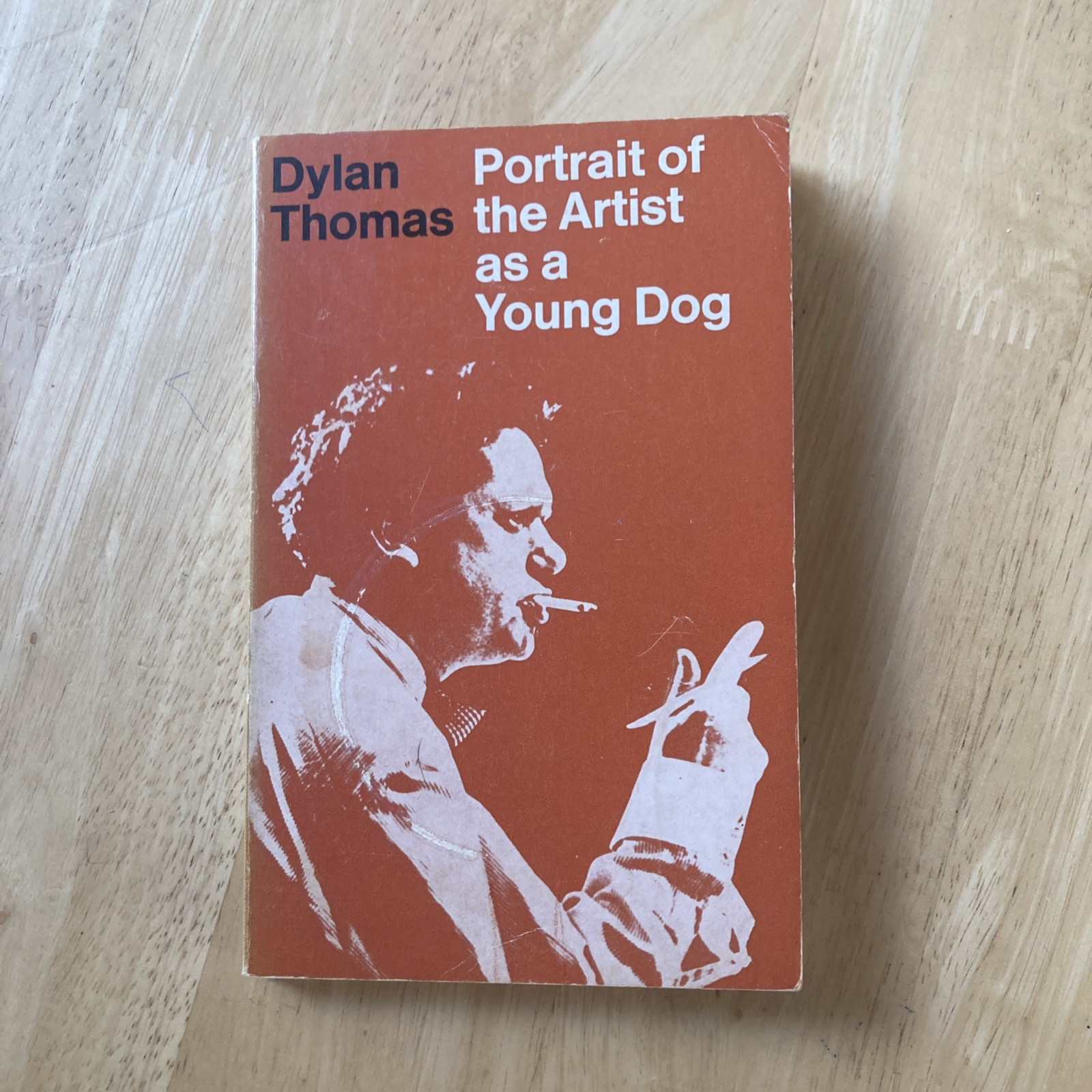 Portrait of the Artist as a Young Dog Dylan Thomas Vintage Aldine paperback 1974