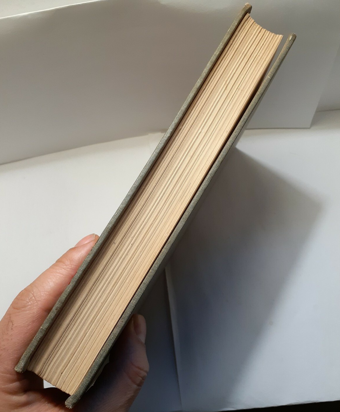 Negroes In American Society – Maurice R. Davie – McGraw Hill 1949 [HARDCOVER]