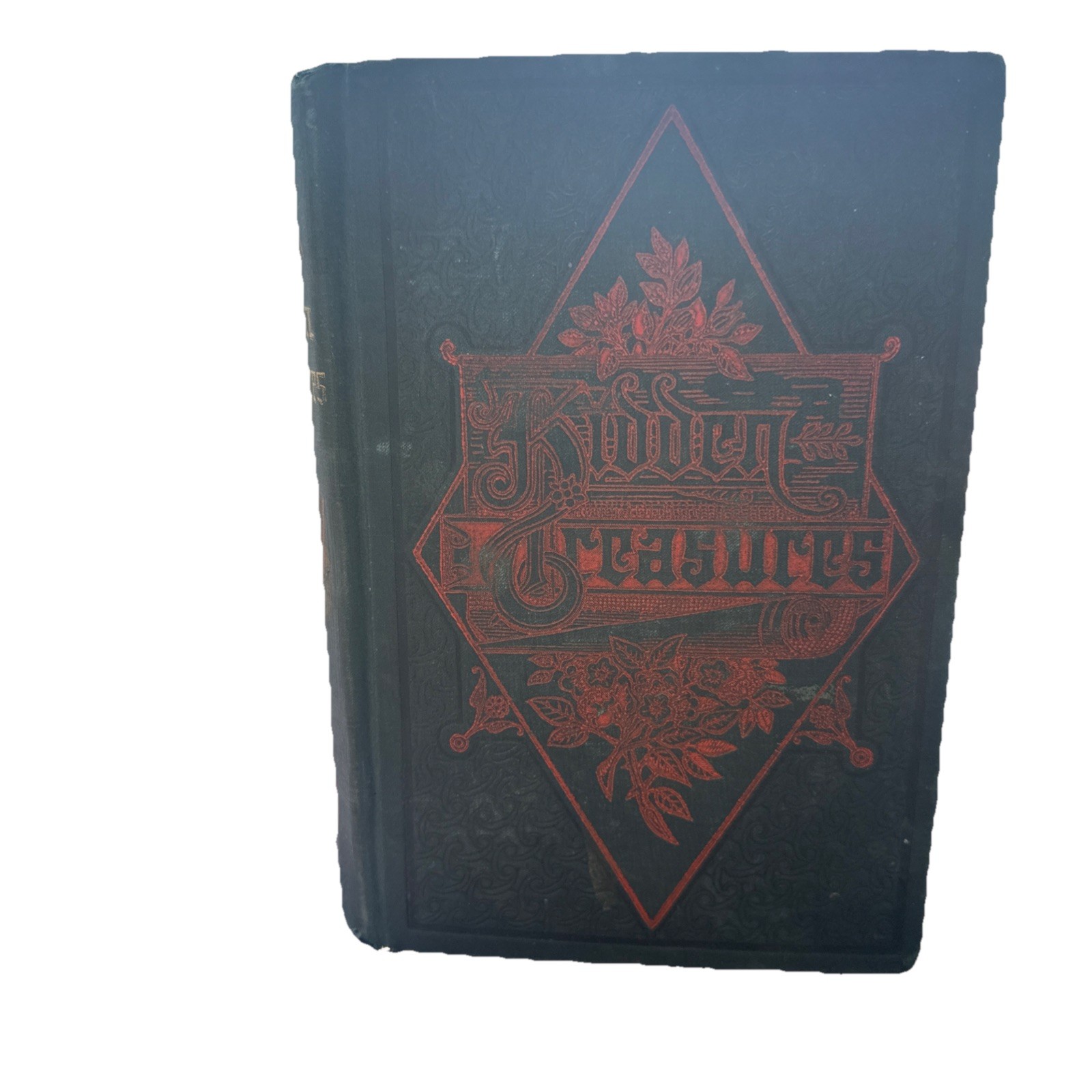 Antique Victorian Ornate Embossed HIDDEN TREASURES Book 1888 LEWIS