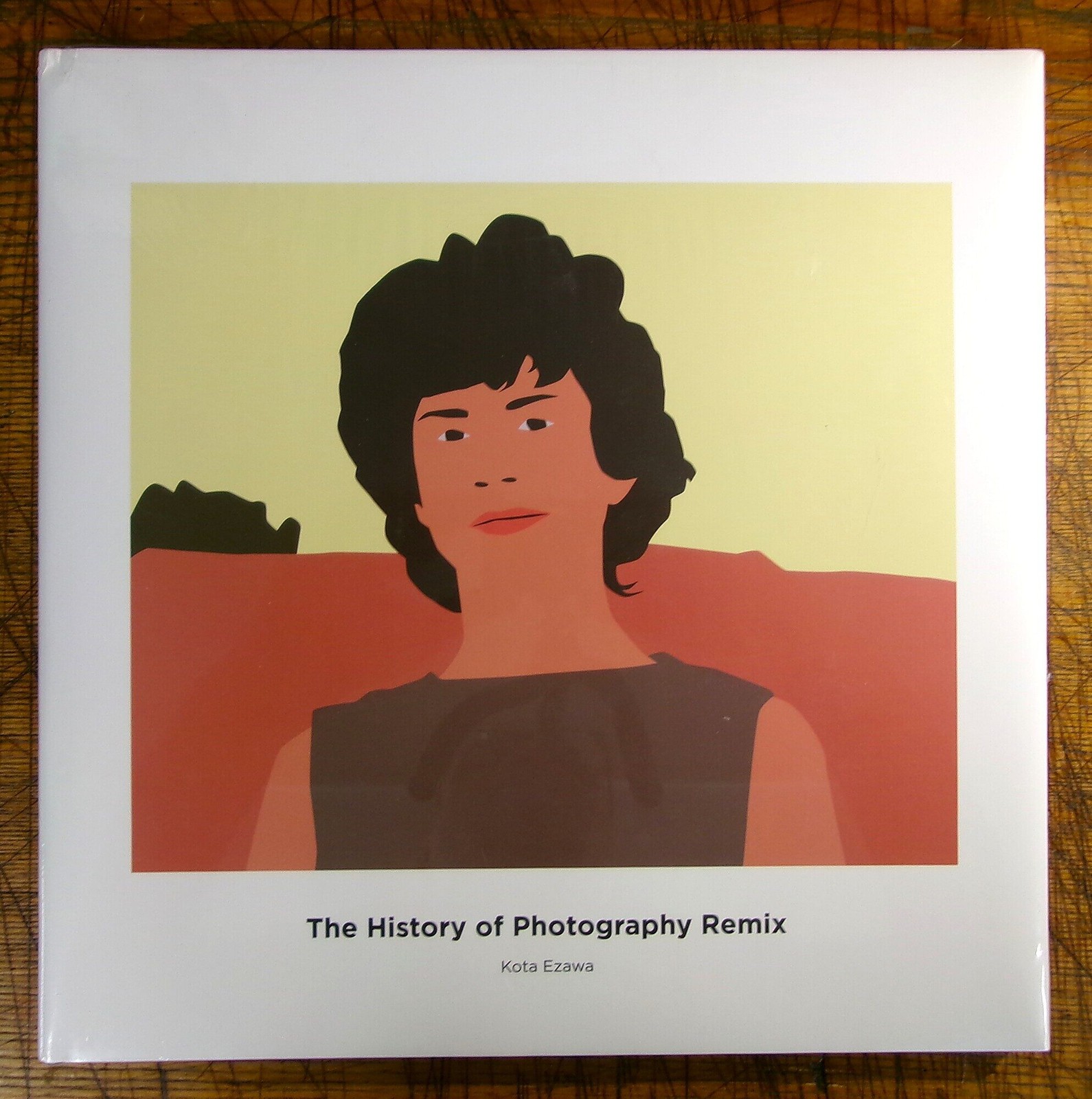 Chus Martinez, Kota / The History of Photography Remix 2006