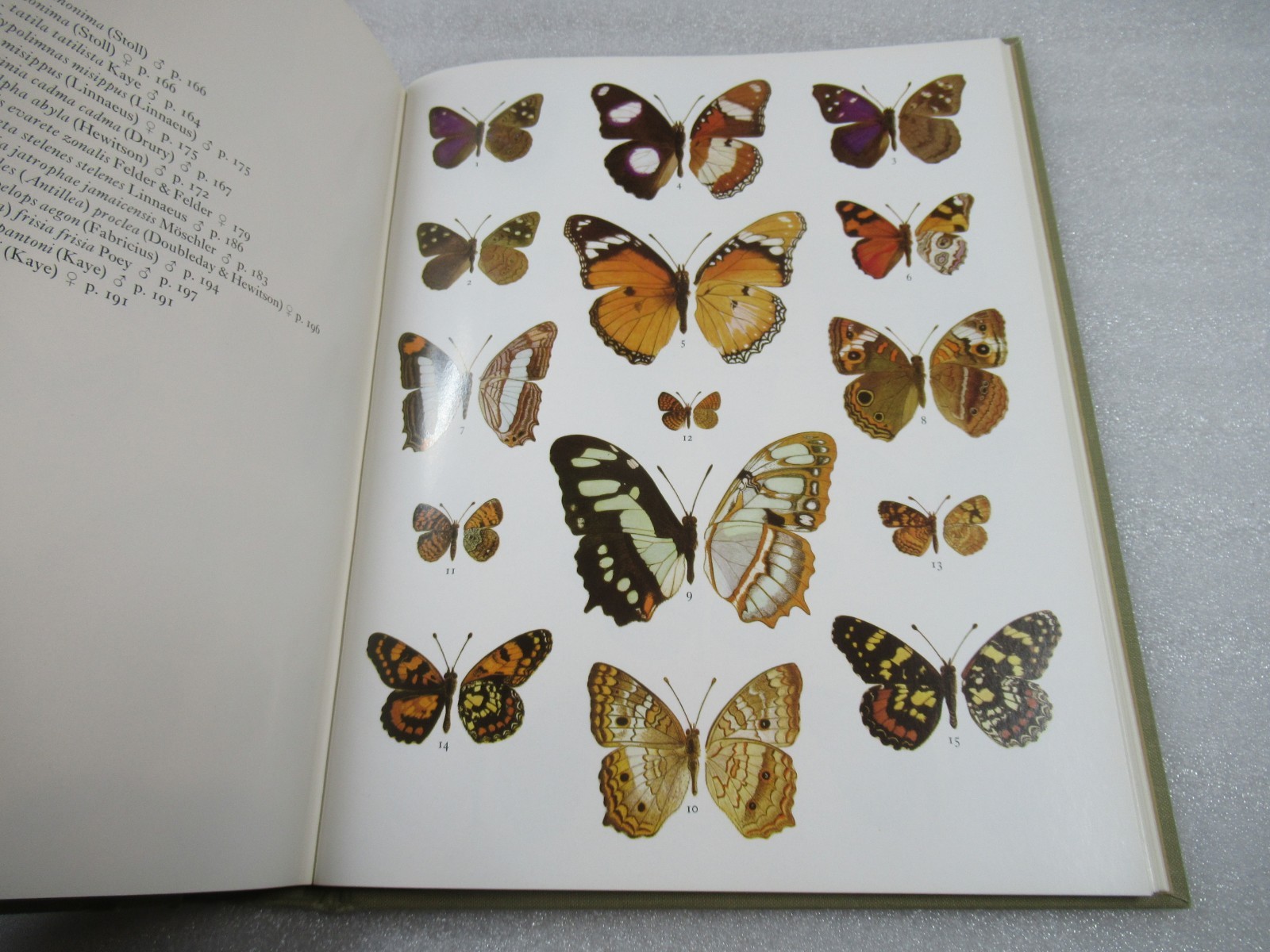 JAMAICA and Its BUTTERFLIES – Brown & Heinemann HB-DJ 1972 1st