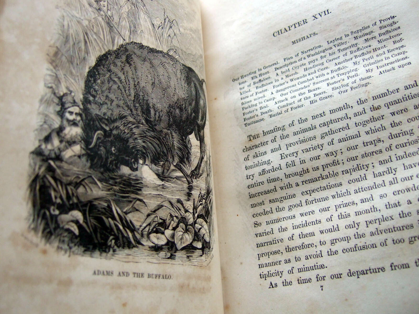 TRUE First Edition 1860 Adventures James Capen Grizzly Adams, Theodore H Hittell