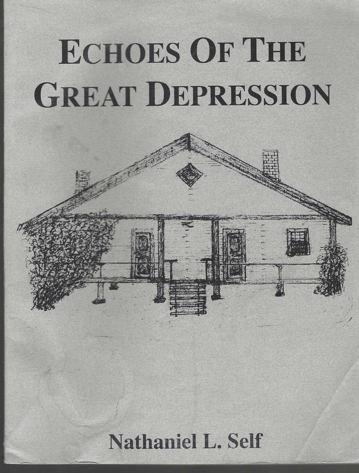 ECHOES OF THE GREAT DEPRESSION (JEFFERSON & WALKER COUNTIES,ALABAMA) BY SELF