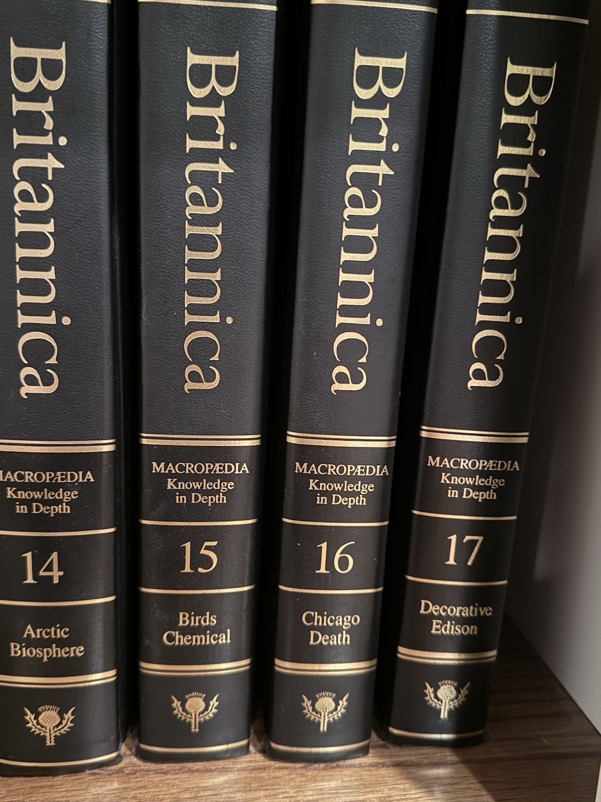 Encyclopedia Britannica 15th Edition 1995 Leather Complete Set (32 Vol.)