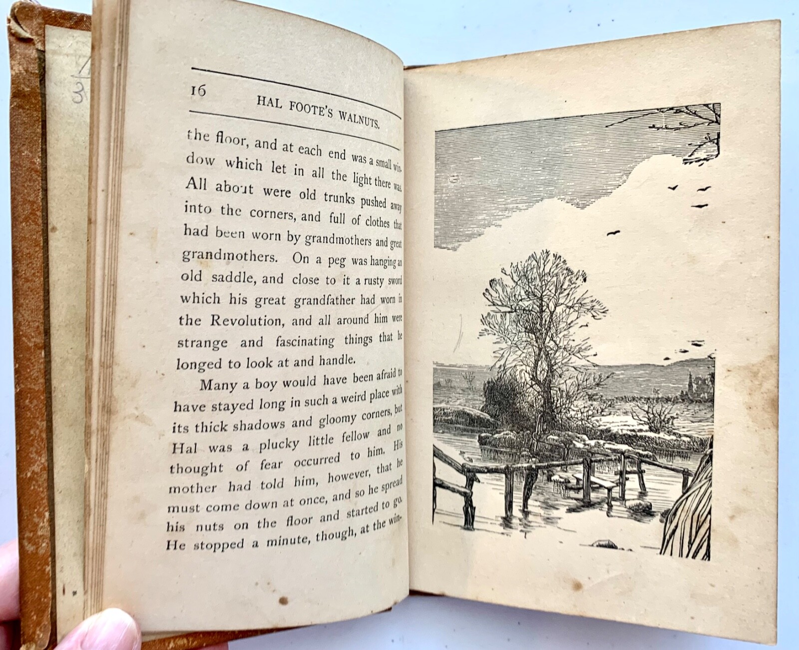HAL FOOTE’S WALNUTS – Dodd, Mead, & Co. [1878] Antique Children’s – Hard to Find