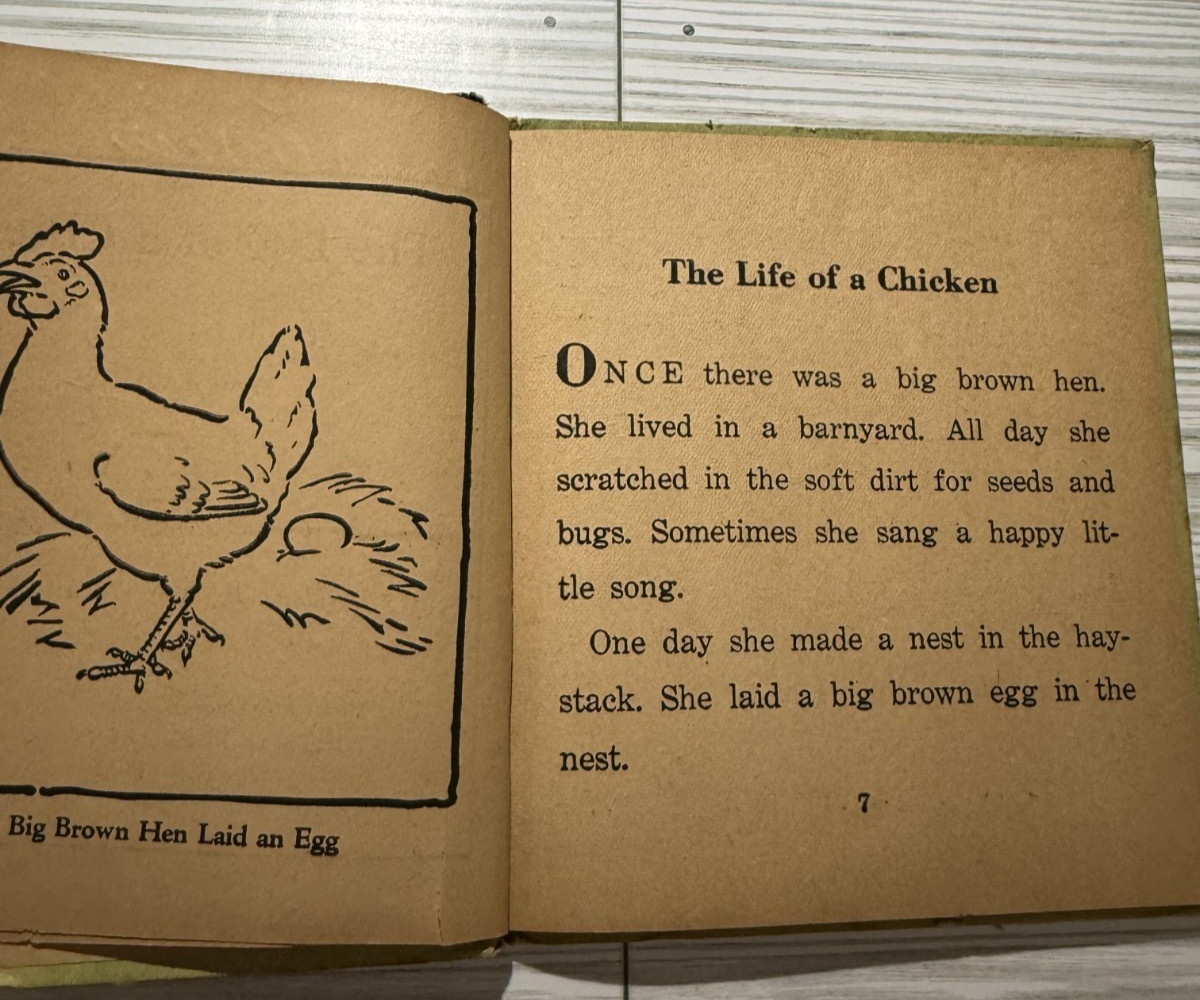 The Life of a Chicken Vintage Hard Cover Book by C.W. Woodruff + Vtg Bookmarker